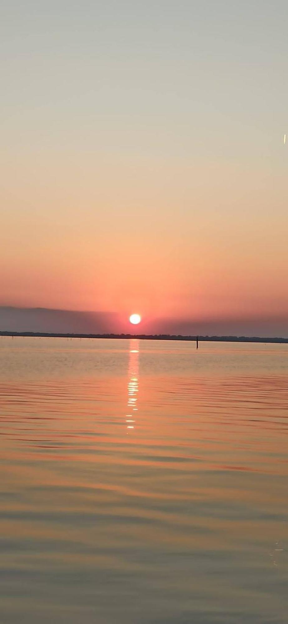 Mare Pineta Lägenhet Lido di Volano Exteriör bild